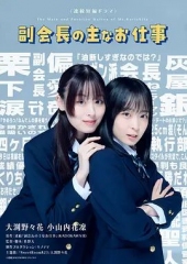 副会长的主要工作