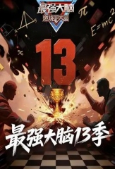 最强大脑第十三季
